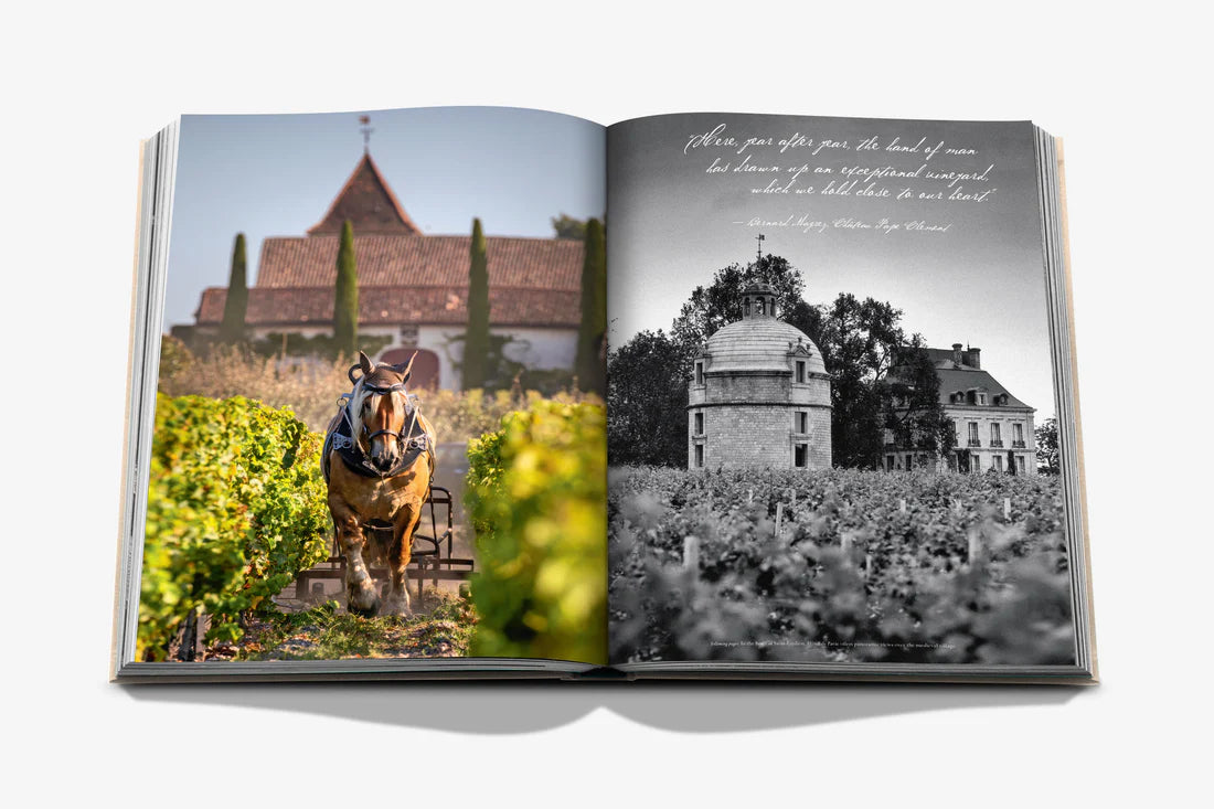 Assouline - Wine & Travel France