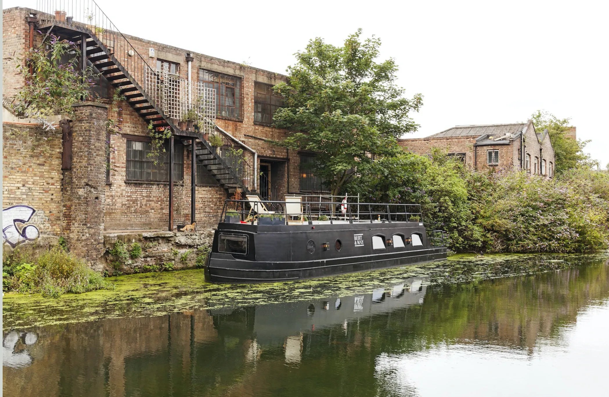 WILDENBERG WILDENBERG Life-style - Diversen