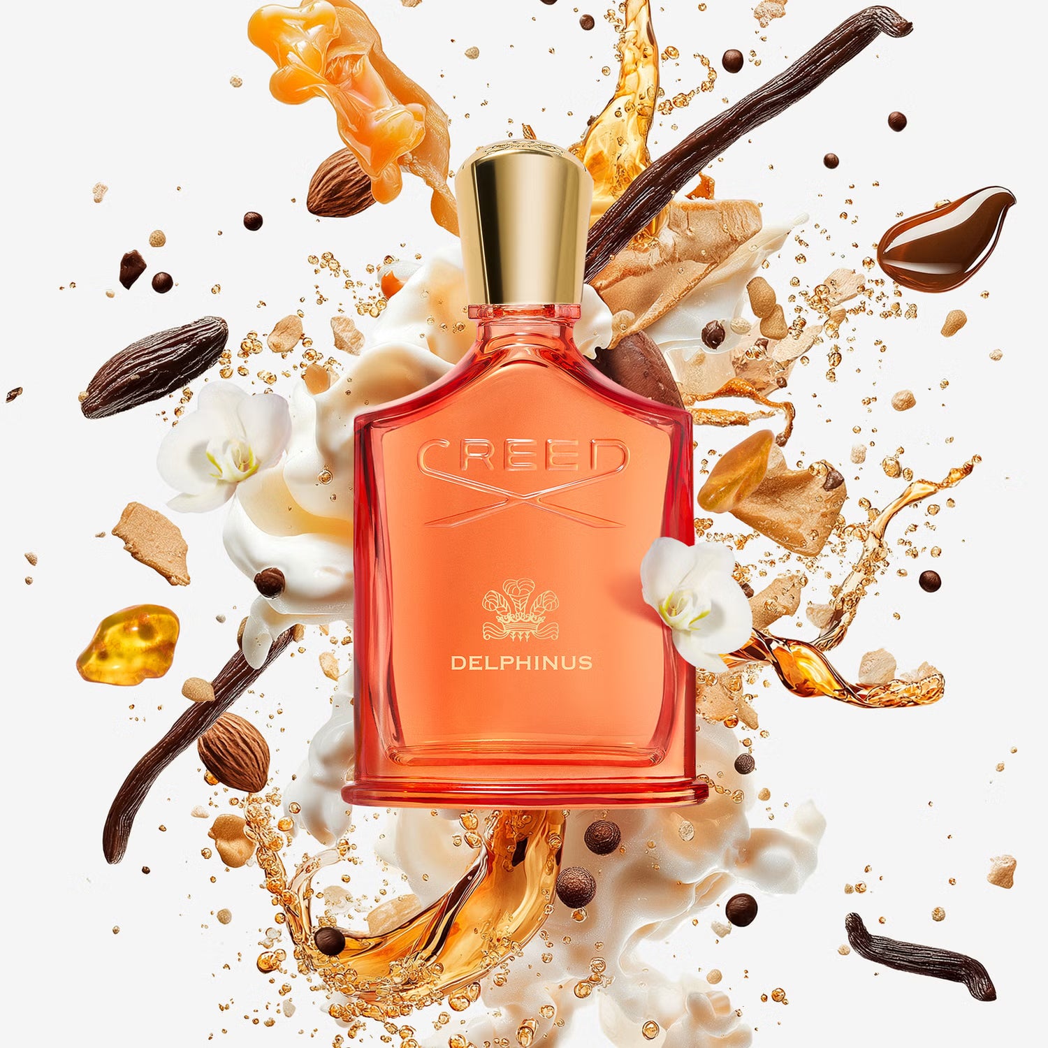 Creed Delphinus 50 ML