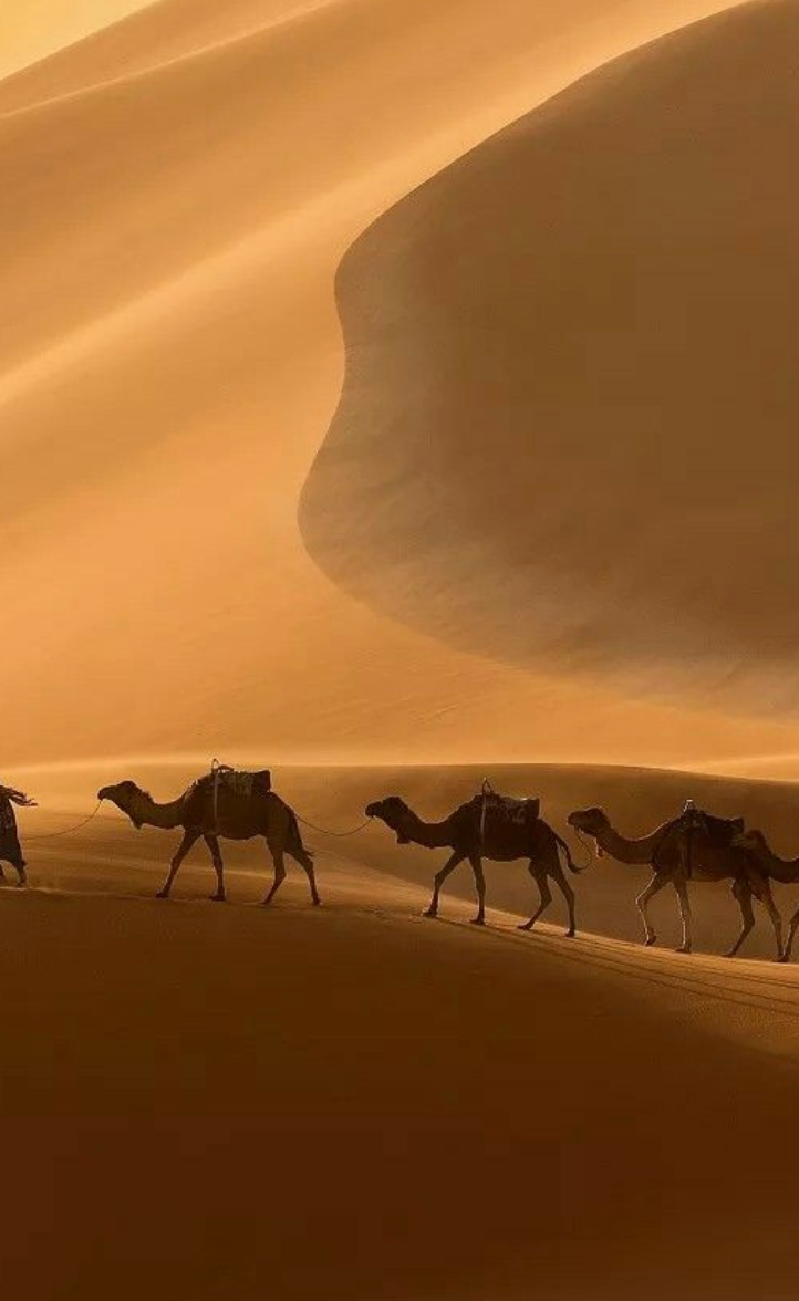 Tramarossa 5 Pocket Katoen - Sahara